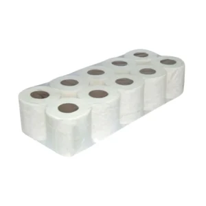 2Ply Premium Toilet Roll 300 Sheets, 10 x 10